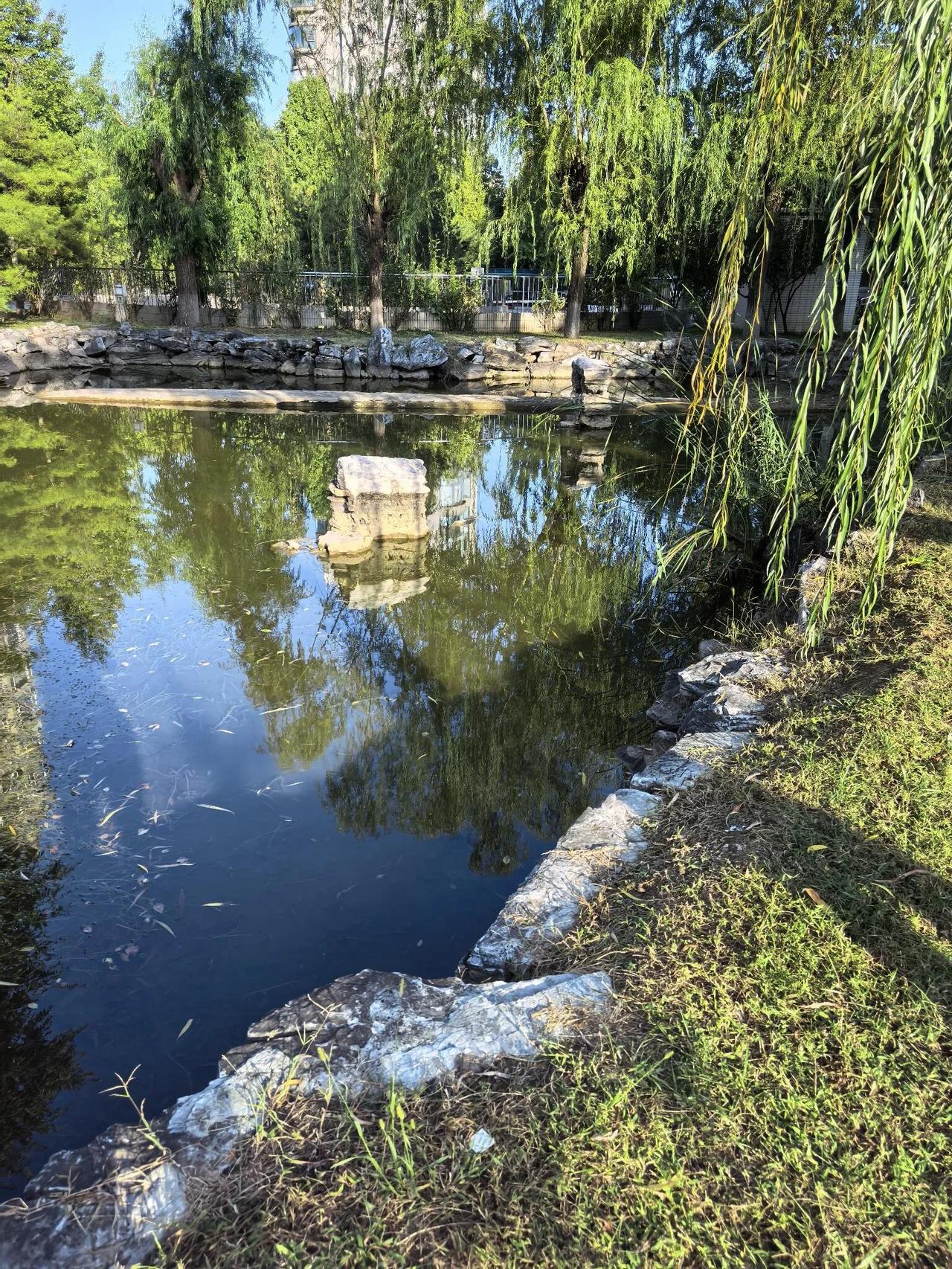 人到中年，没能力为孩子积累人脉，会愧疚么
人到中年，事业无望，想躺平苟活，但有时