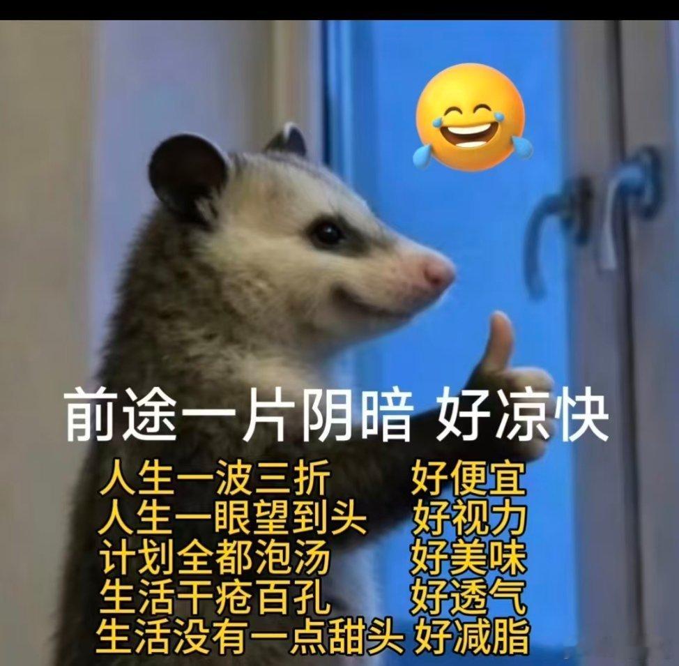 前途一片阴暗，好凉快~ 