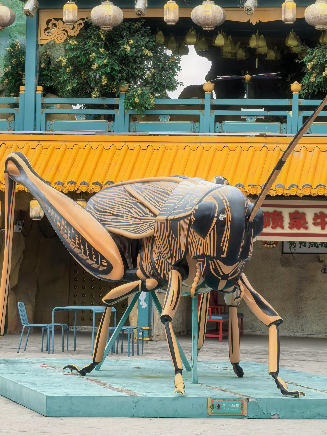 记录我的2026山海几千重照片