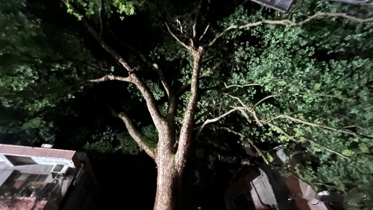 #上联:白云天上荡，求下联#
我觉得可以对好多如：红叶地下埋、黑水溪中流淌、碧浪
