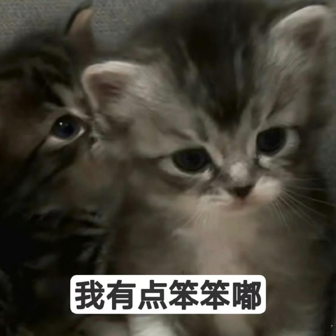 留条博姐妹们有需要的找文盖楼唠嗑（言情） ​ ​​​