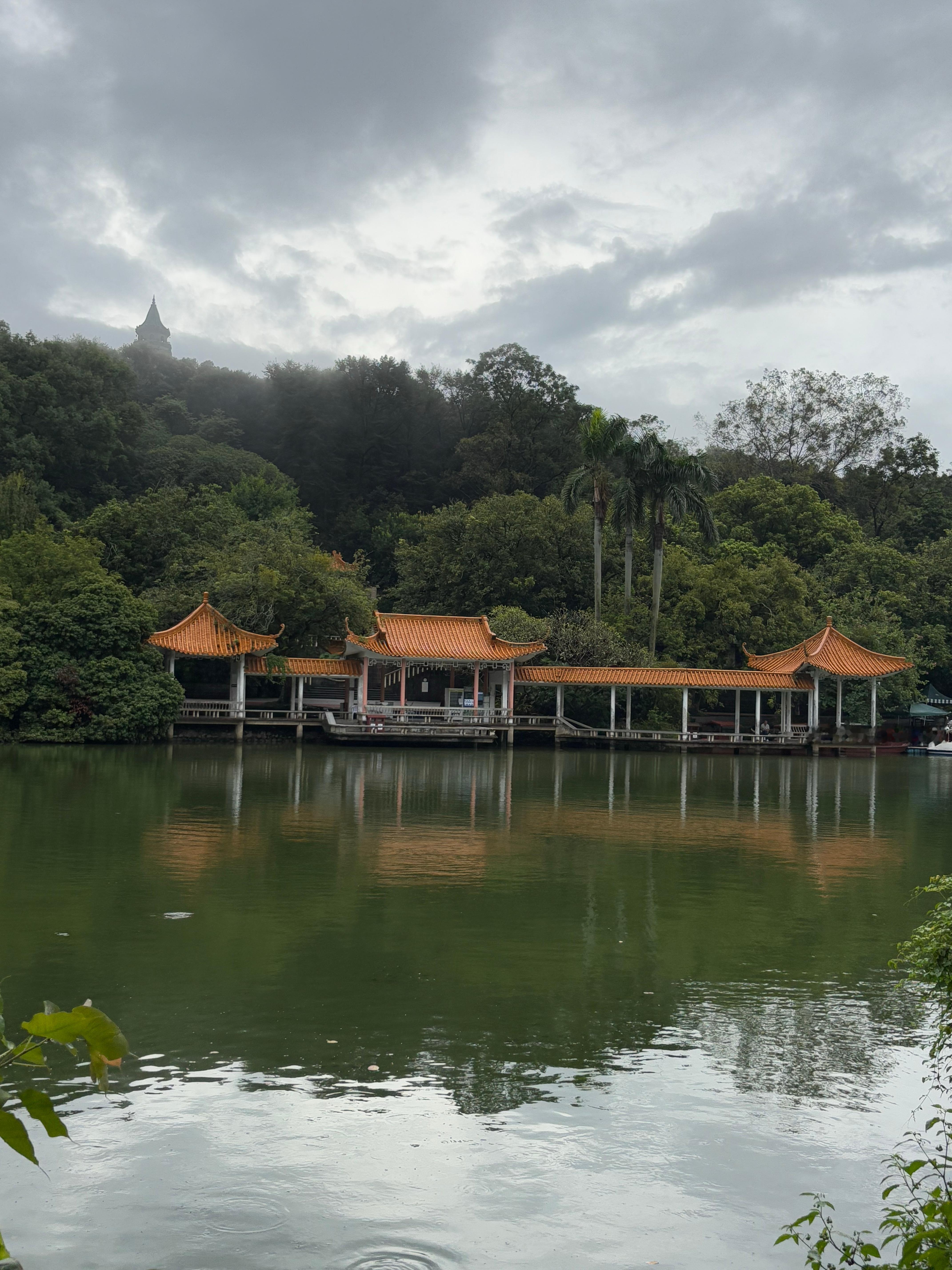 在山上的餐厅吃饭，特别凉快，但是蚊子怎么总咬我...