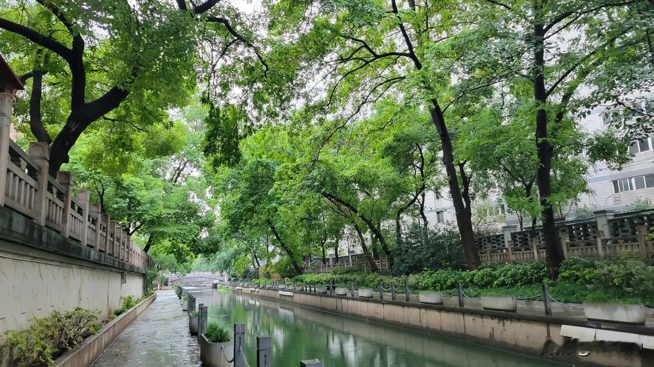 雨后漫步在南京内秦淮河。这条河以前是个臭水沟。现在两旁栽满了桂花树、能闻到淡淡的