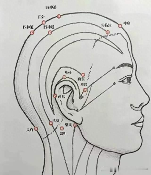 老花眼、耳鸣、睡不踏实？耳后“四侠”的完整实操表，照着做就行