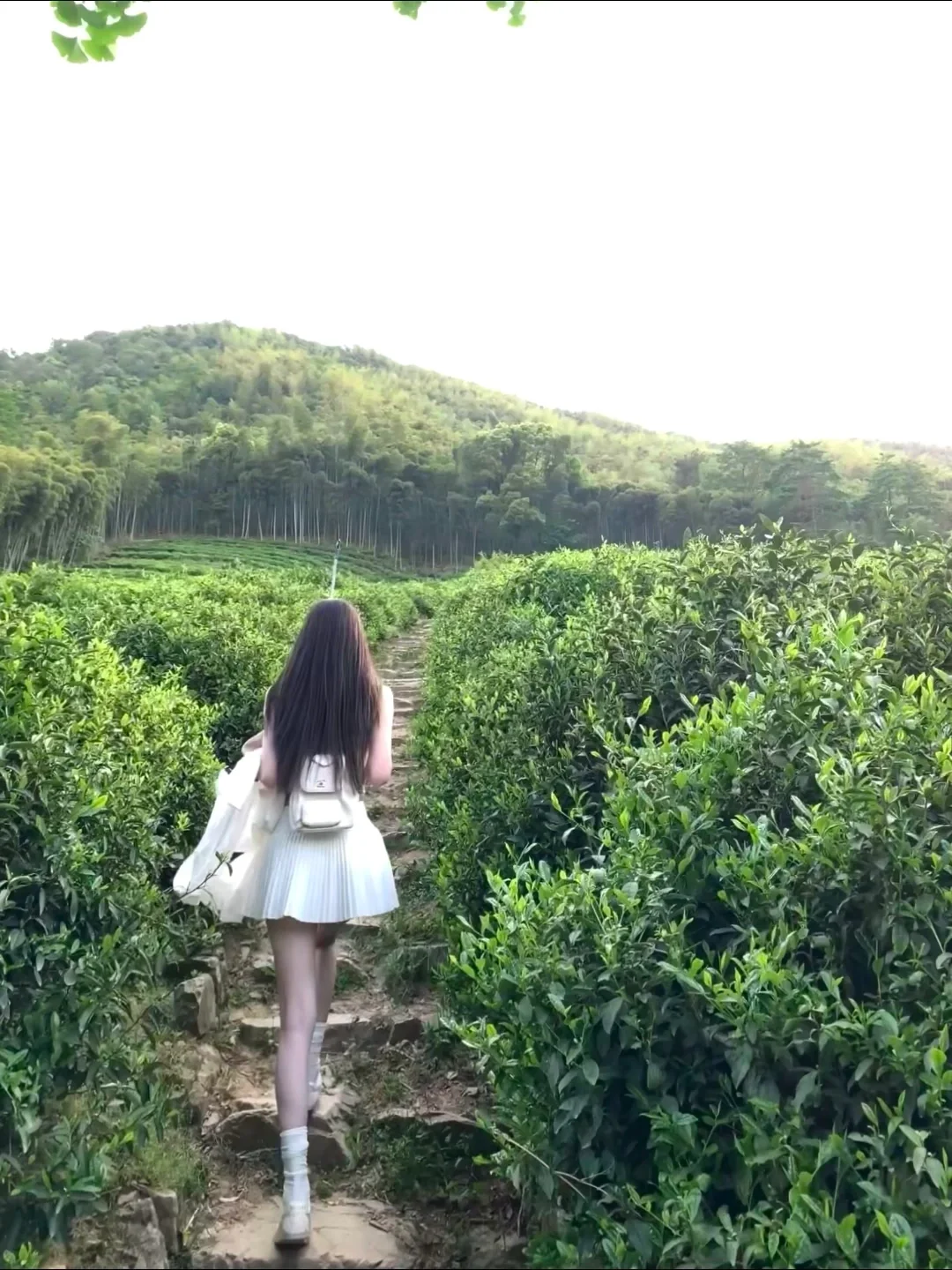 🍃去山里吸氧啦