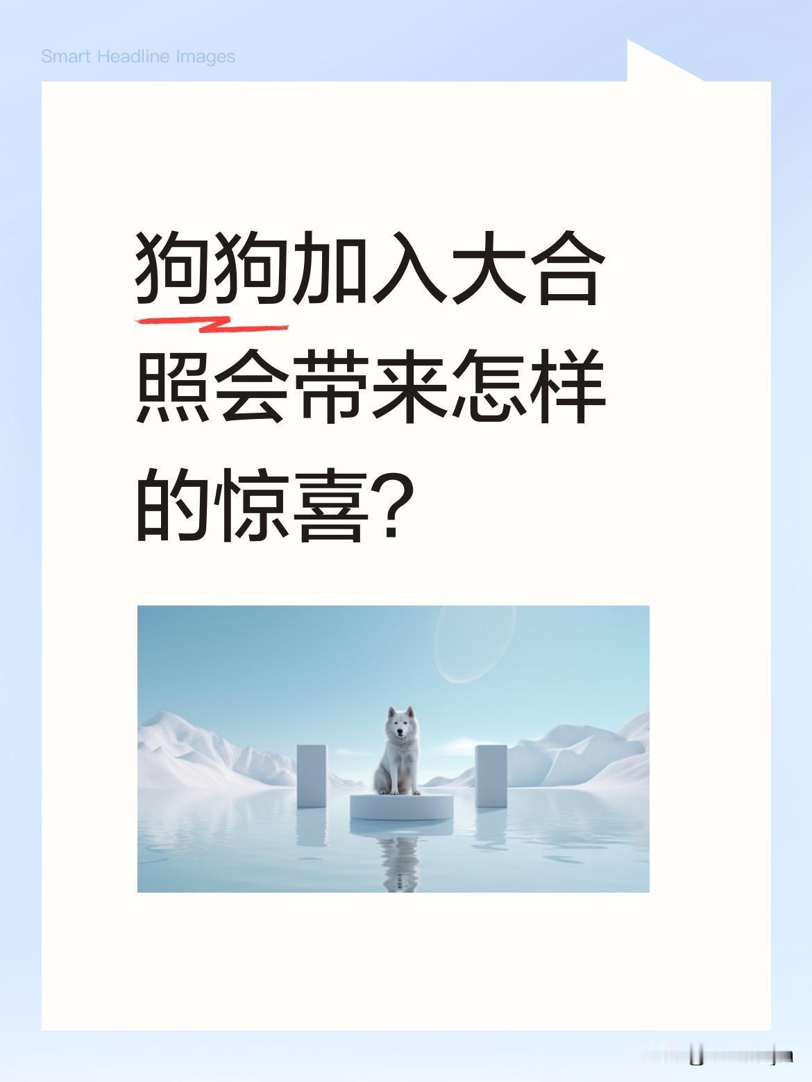 狗狗加入大合照会带来怎样的惊喜？
最近有张特别的大合照火了，原本普通的集体照因为