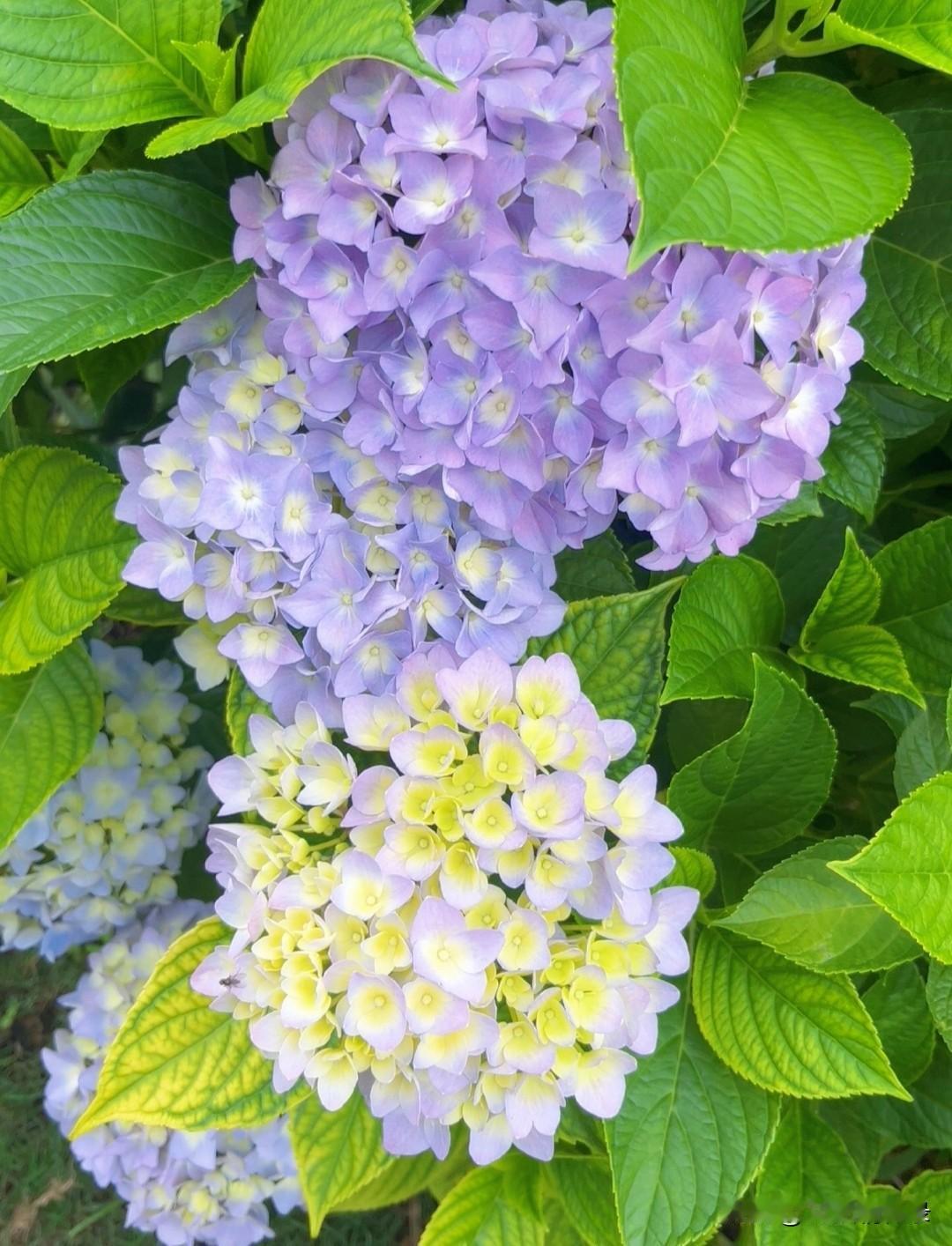 “从容，是一种历经世事后的清醒。”一周一晃而过，时光匆匆忙忙，守住自己的节奏，不