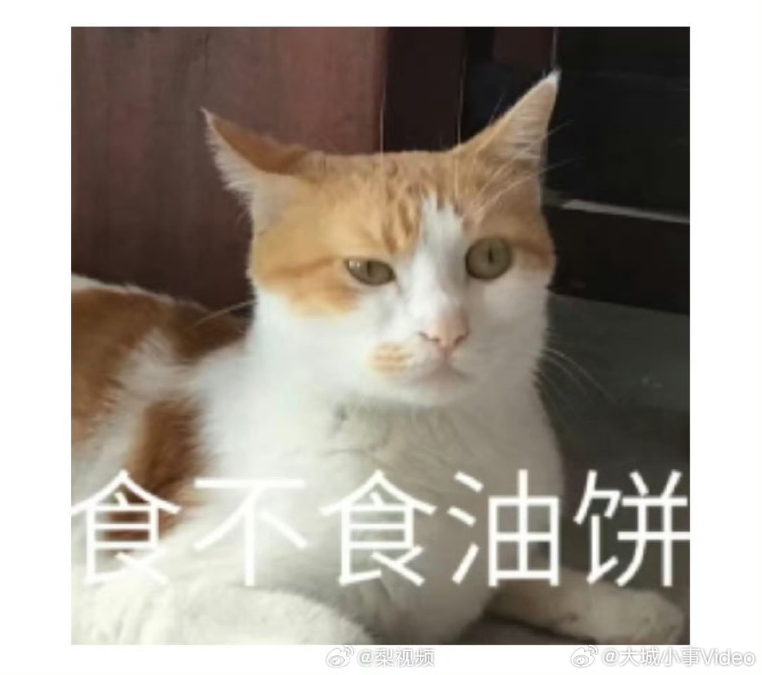 【周深演食不食油饼表情包，周深食不食油饼】超级可爱的周深！和媒体老师现场pk库存