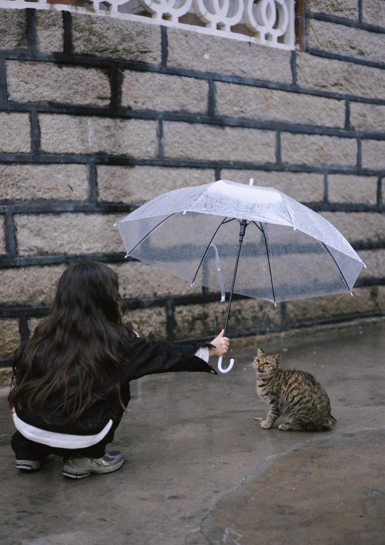 那天她像往常一样挤上公交，耳机里放着歌，脑子里想着晚饭吃啥。车厢里人贴着人，像沙