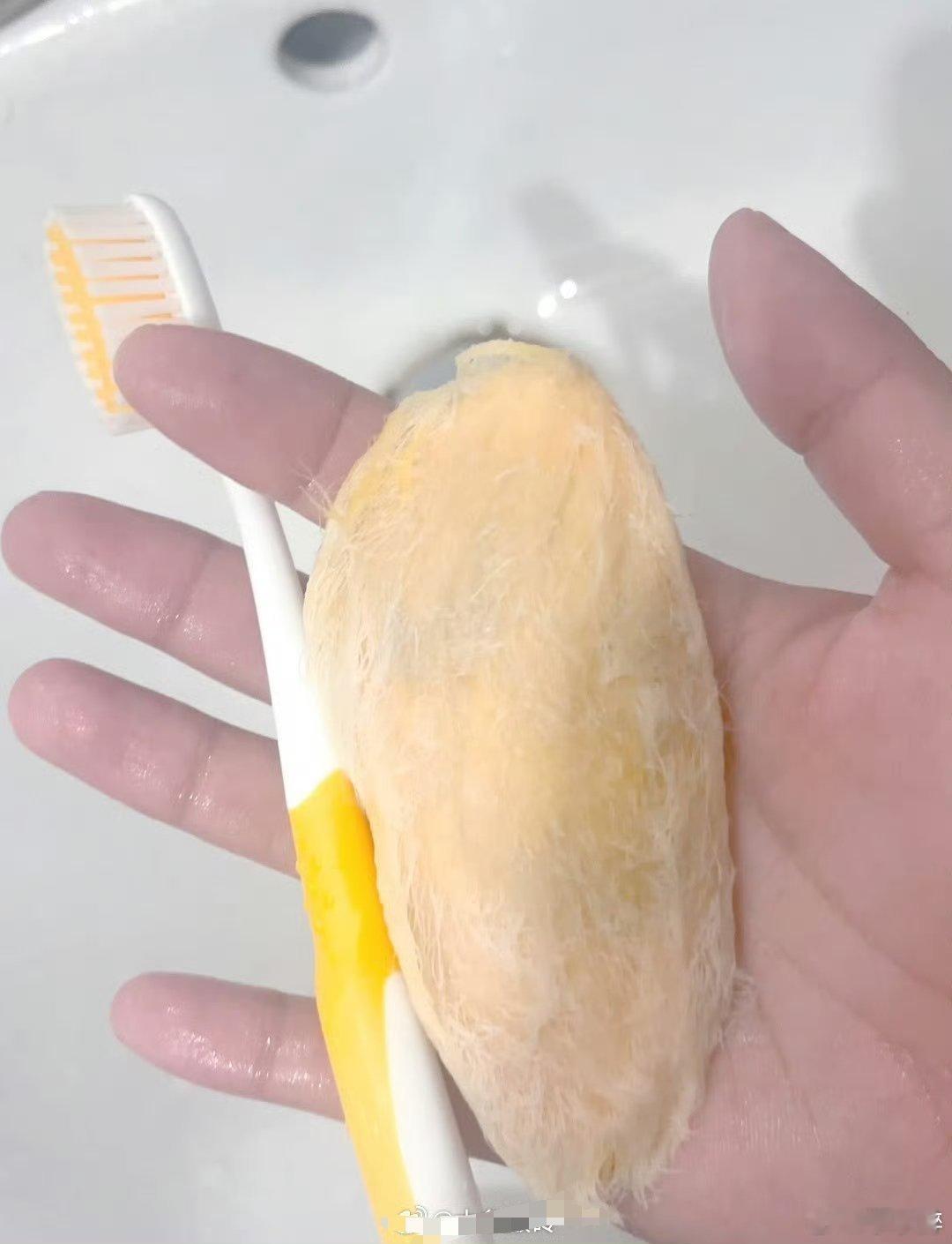 年轻人养的东西越来越离谱了如今年轻人养的东西越来越奇特，从电子宠物到仙人掌，甚至