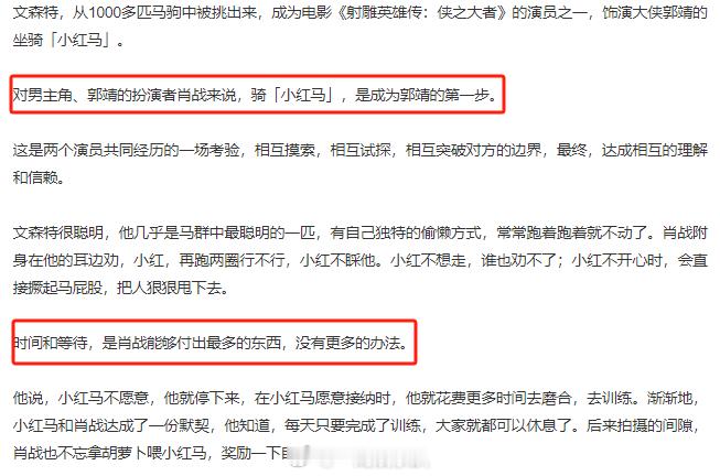 肖战能够付出最多的东西是时间和等待  骑小红马是肖战成为郭靖的第一步  为了塑造