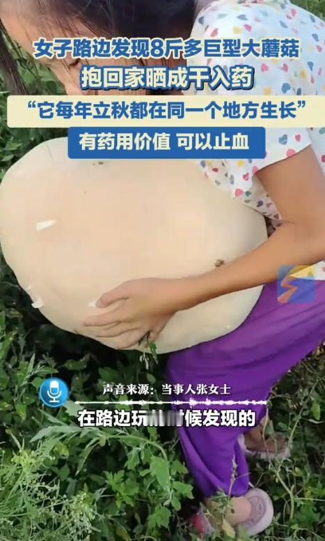 “这都是命啊！”黑龙江齐齐哈尔市，一女子在路边玩的时候，发现有颗重量高达8斤多的