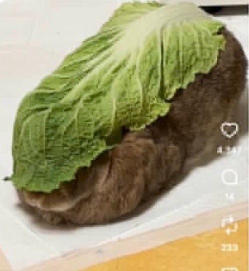 【tg】好可爱哈哈哈哈哈哈©️网页链接