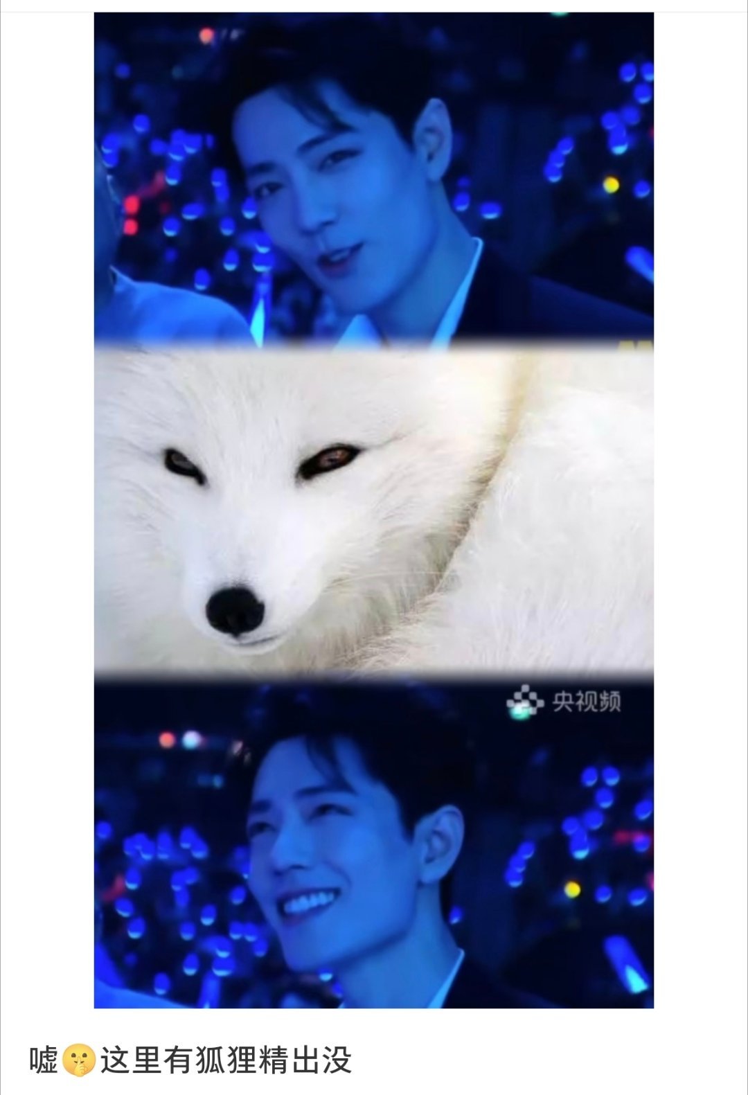 真素狐狸精啊🦊 ​​​