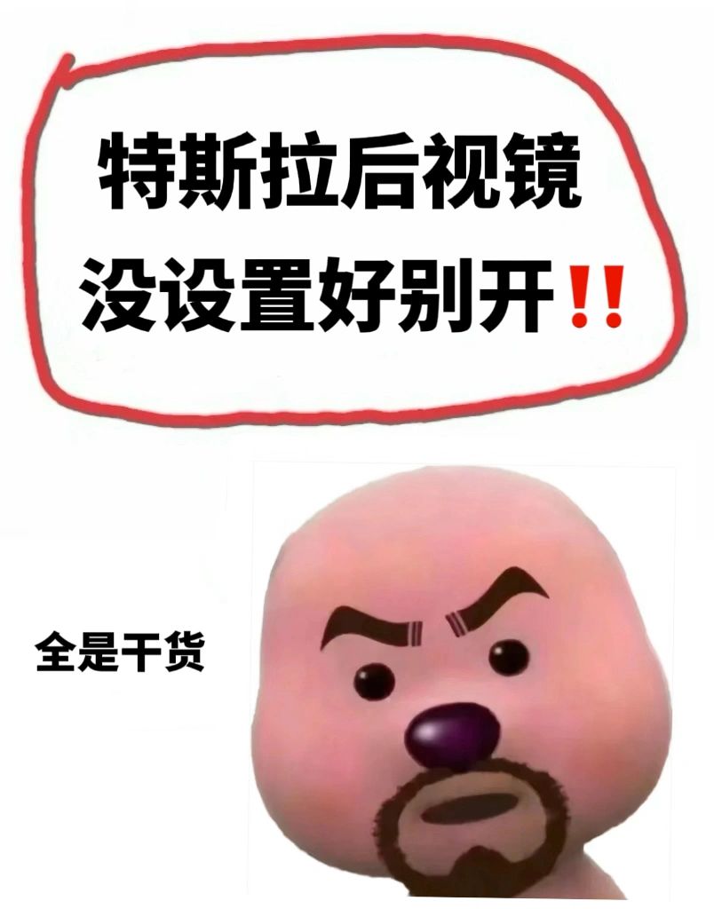 特斯拉后视镜没设置好千万别开‼️