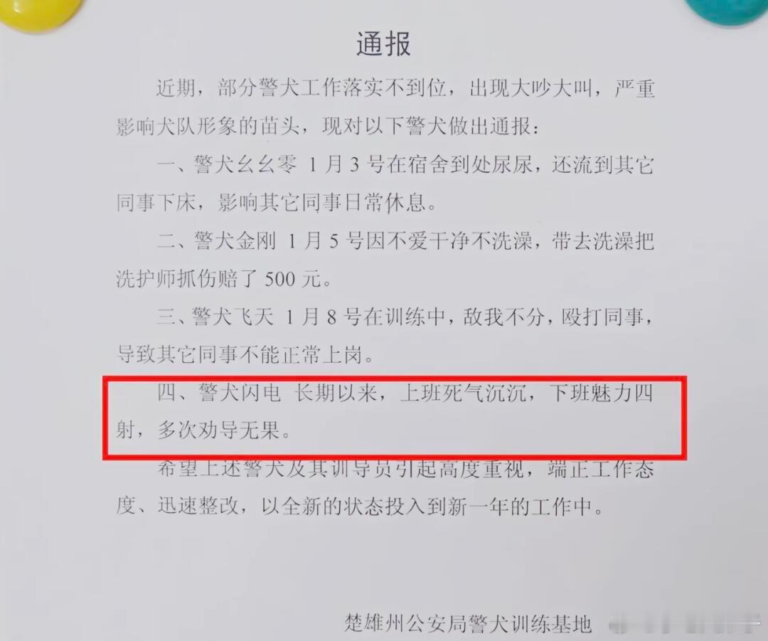 警犬在战友床上尿尿连续4周被通报 警犬：本来是全局通报。好了，现在成全国通报了[