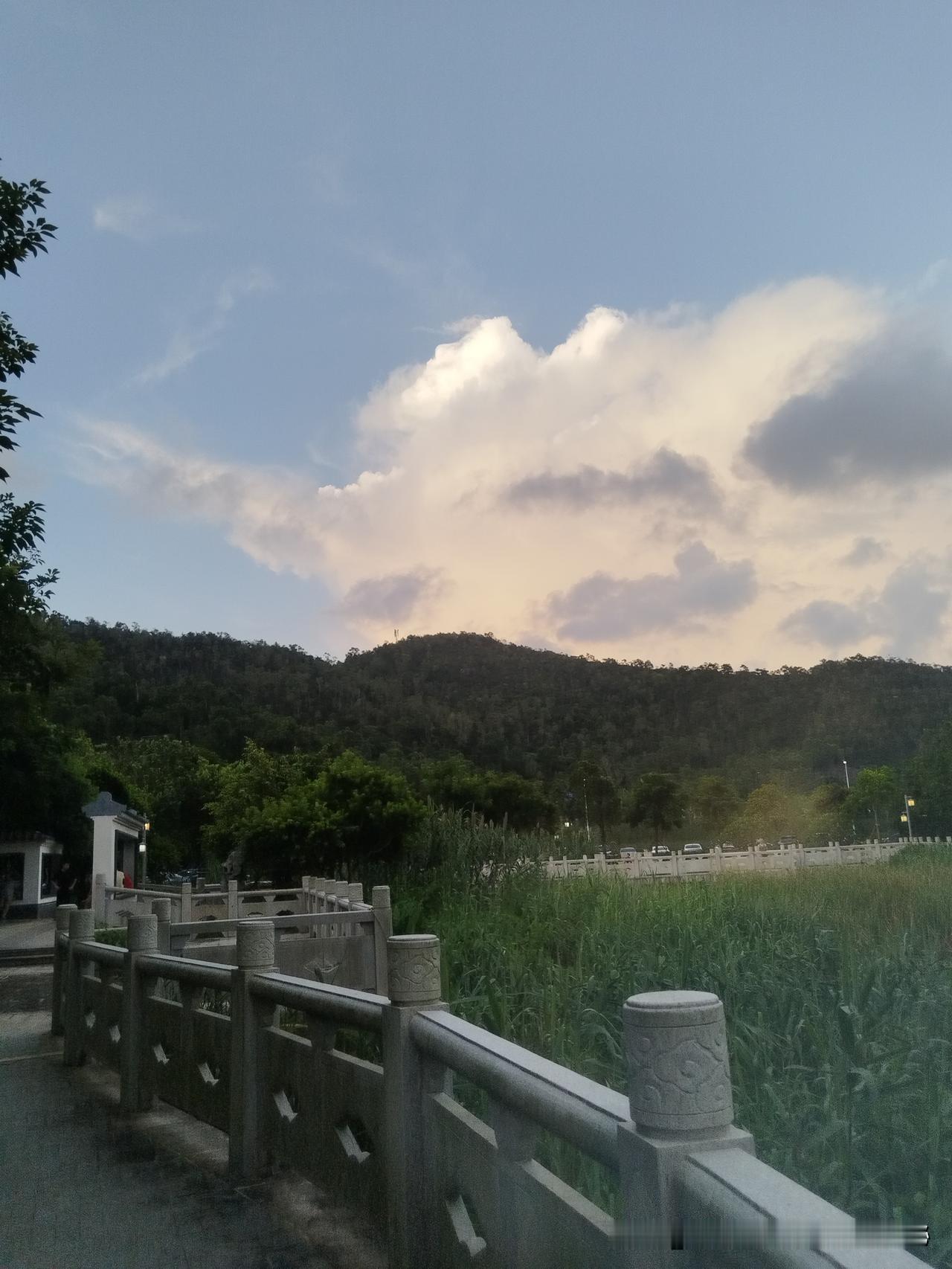 夏日生活打卡季新的一天开始了，[太阳]心态平和就是仙，高高兴兴每一天；保持一颗童