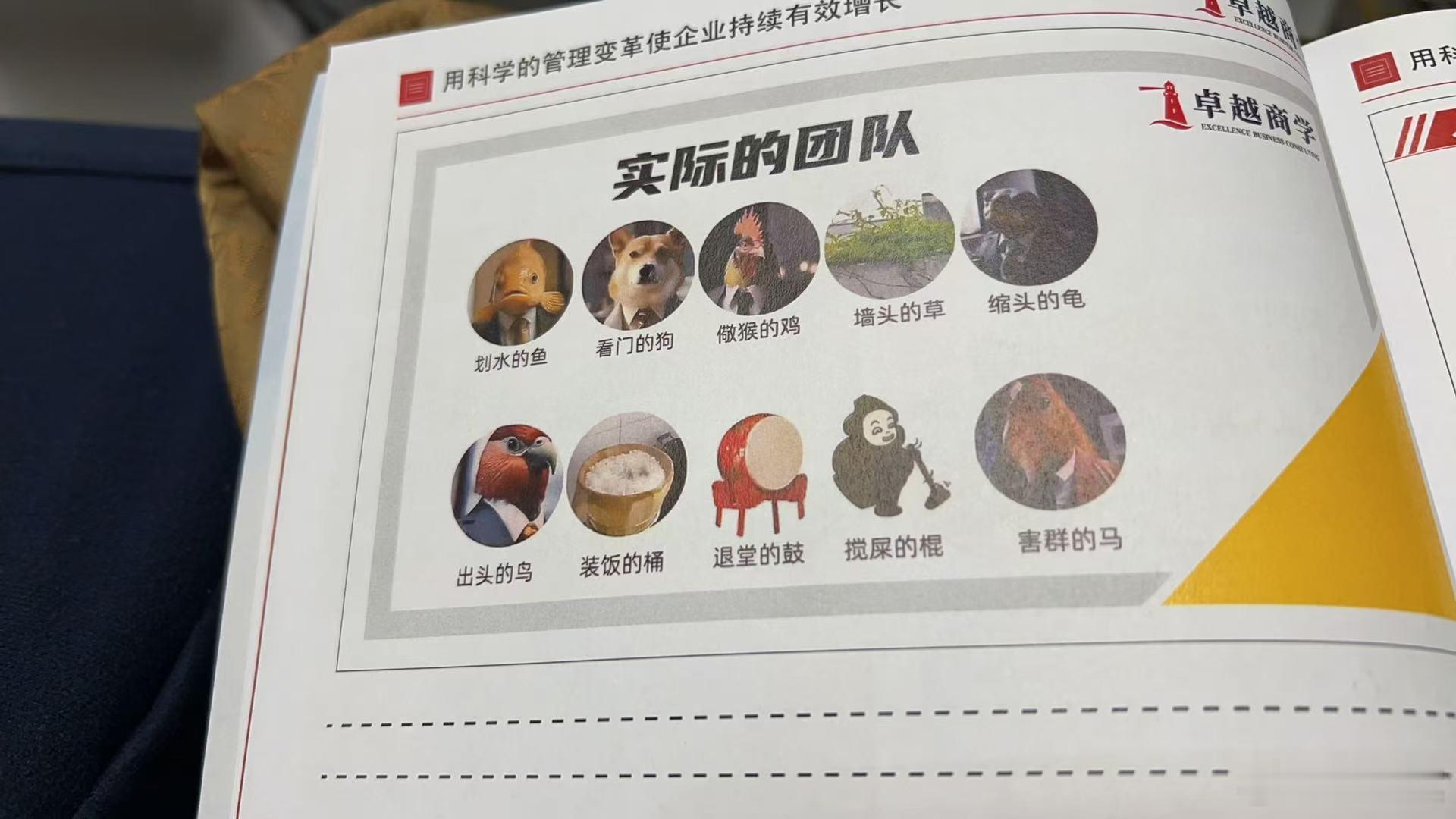 实际团队的画像是这个？！[笑cry] 