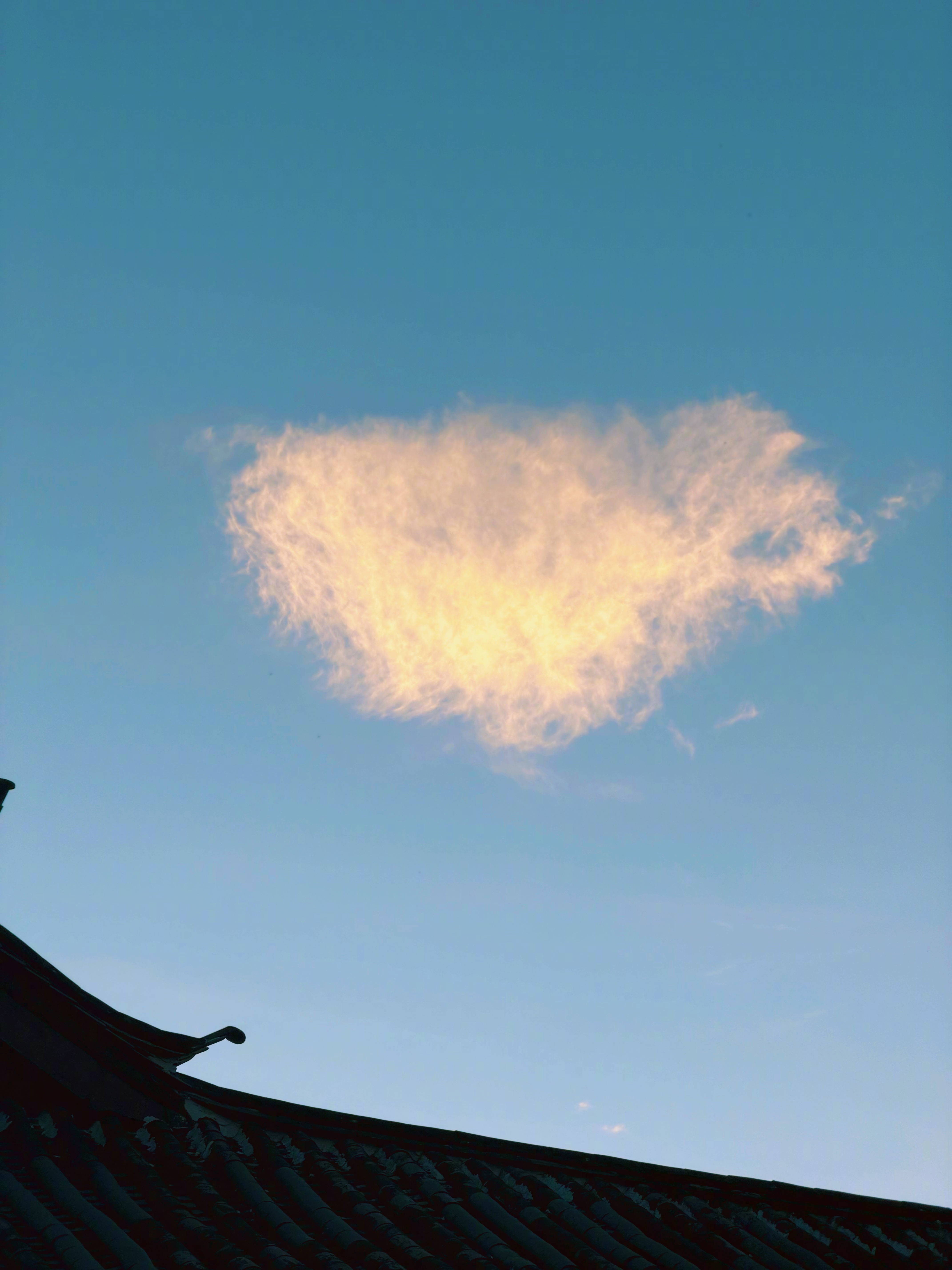 真正的压抑，也许并不是无法向别人表达自己的感受，而是无法向自己表达自己的感受，连