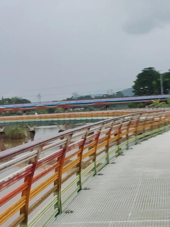我超爱随手拍自然风景，每次都能捕捉到生活里的惊喜。之前翻相册，看到老家门口土路的