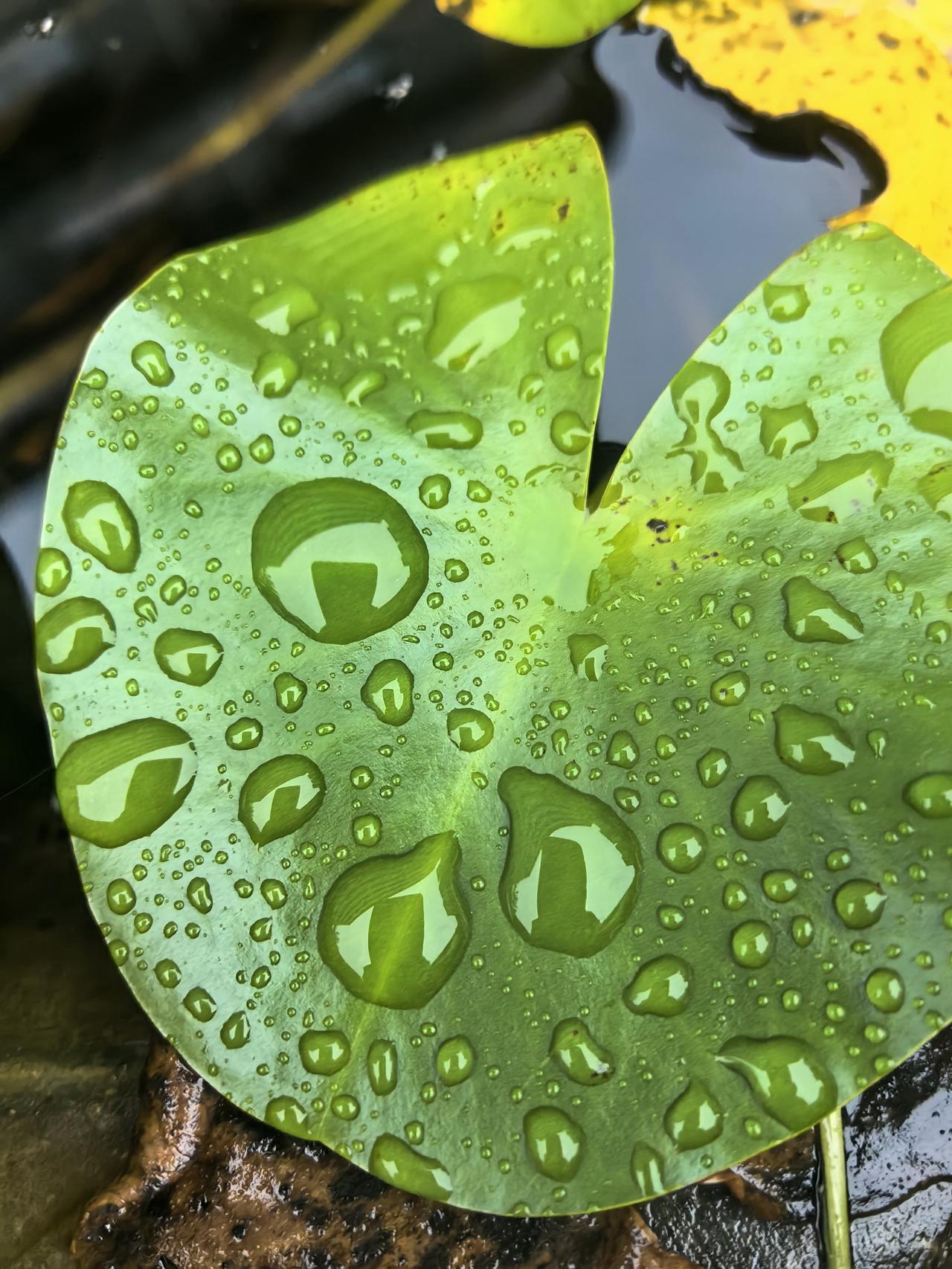 但也要客观看待，四天工作制并不是单纯少上一天班。行业差异很大，服务业、制造业等岗