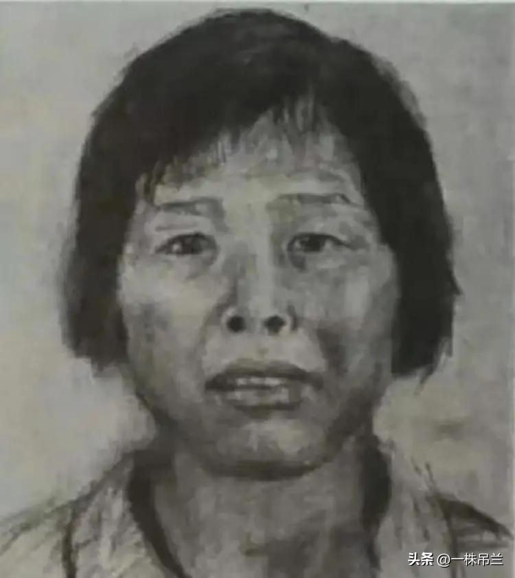 “梅姨”是个人贩子，贩卖了九个儿童，挣了不到两万。就是她，让全网追踪了将近20年