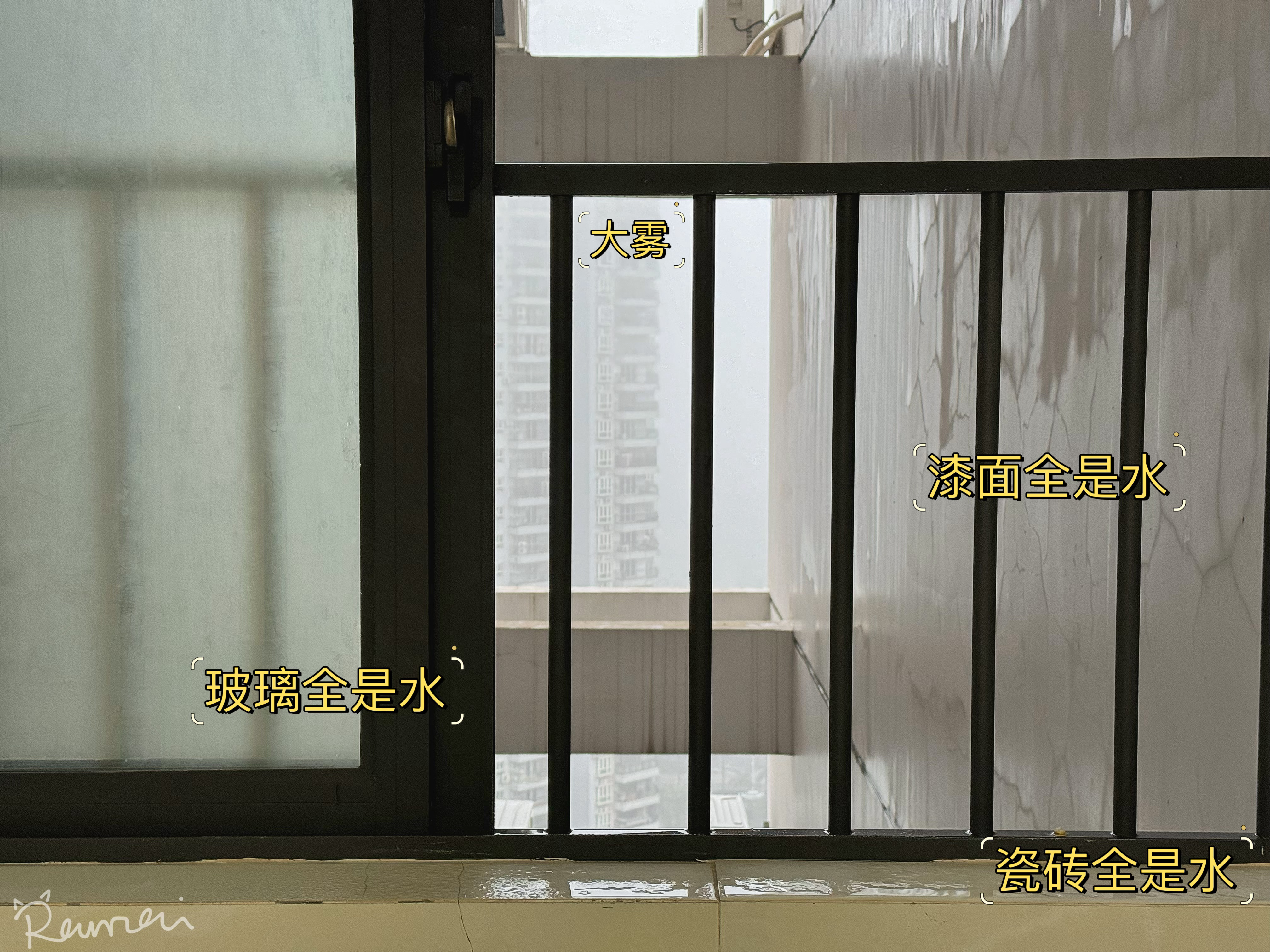 啊！！！痛苦的回南天开始了[泪]每个地方含水量剧增！！ ​​​