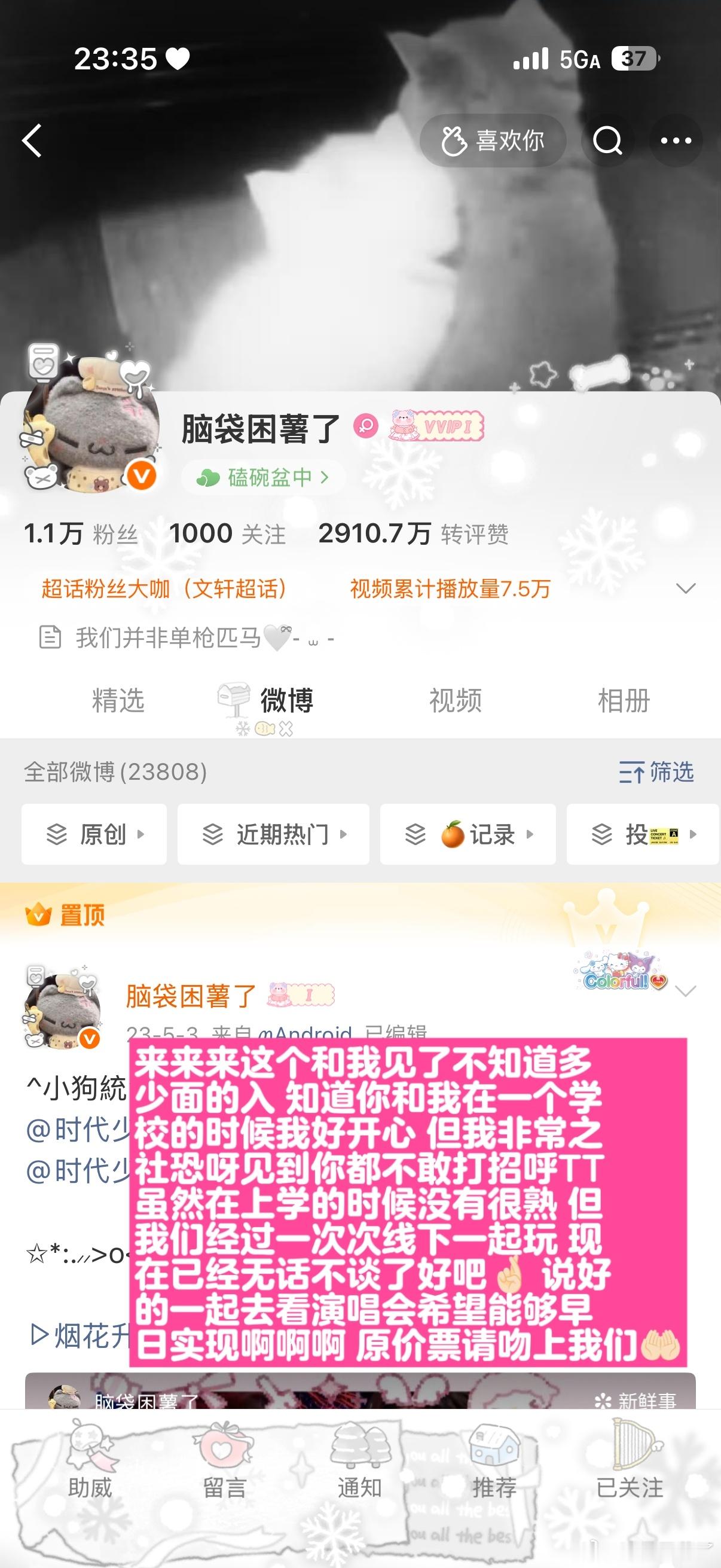 迟来的宠