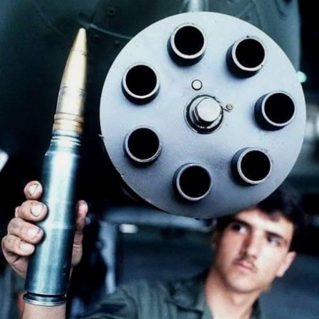 “疣猪”的獠牙