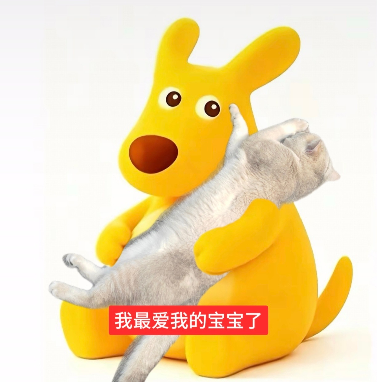 分享图片 ​​​