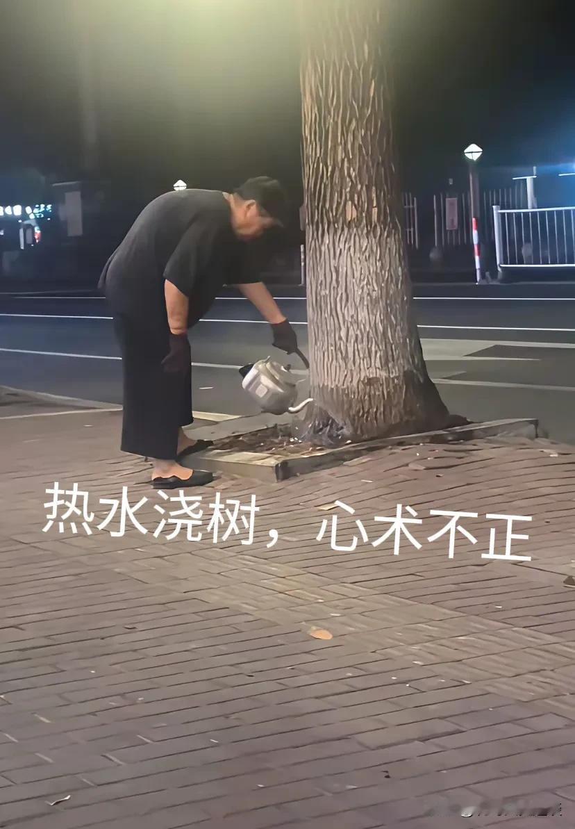 这位大妈心术不正的，她竟然掂了一壶滚水去浇他门口的那个大树。有人说老奶奶提了一壶