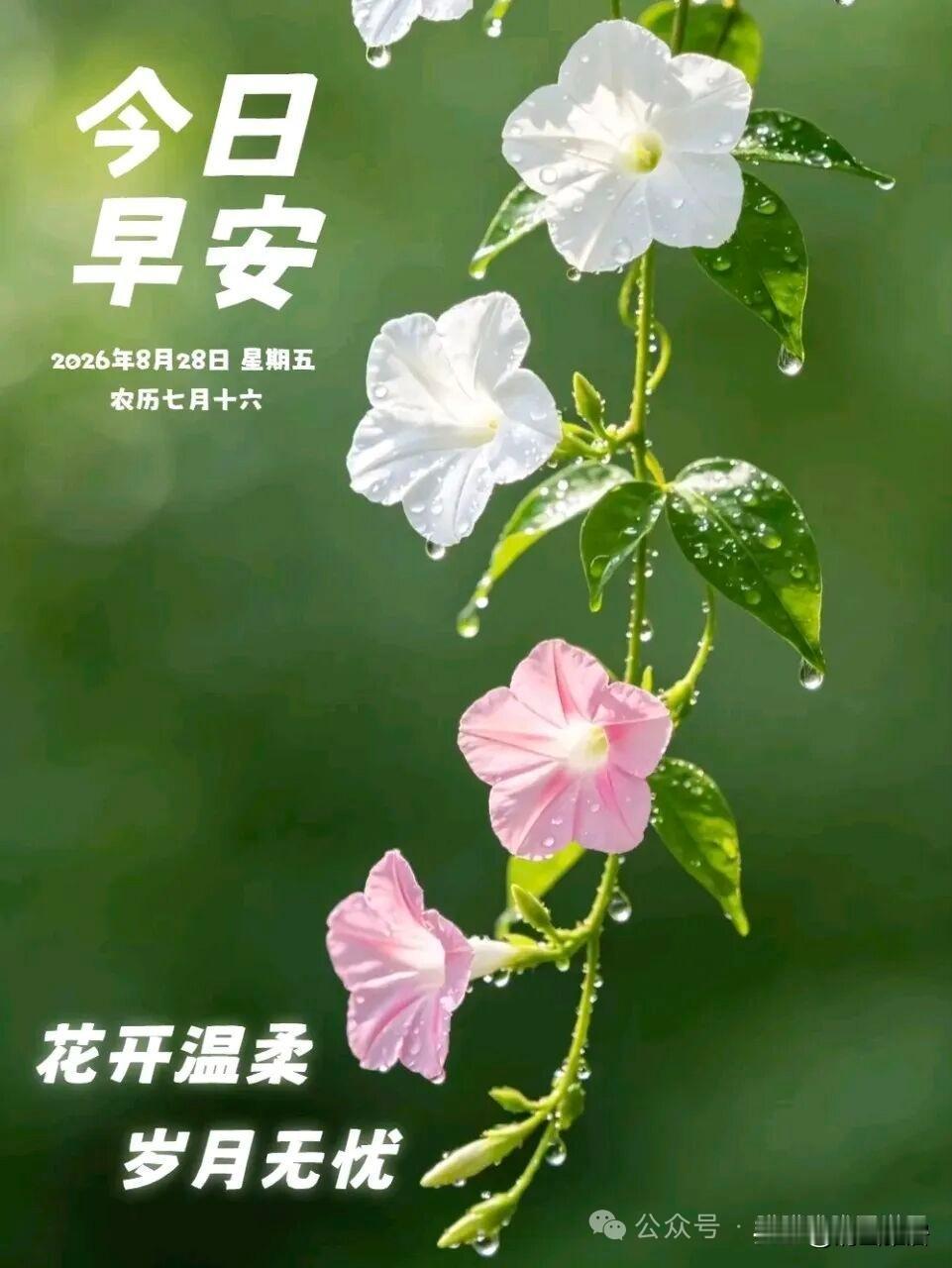 孩子开学前的心态调整有多重要孩子马上就要开学，散漫一假期，伶仃回到学校有些不适应