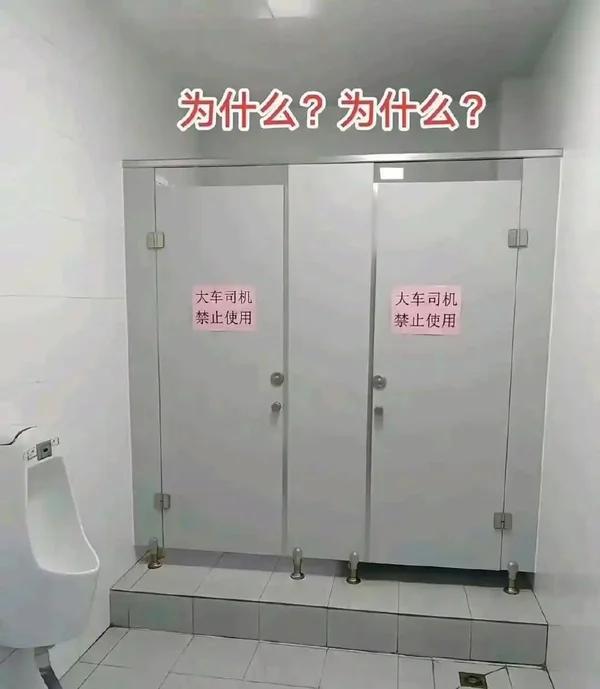 为什么？这到底是为什么？
