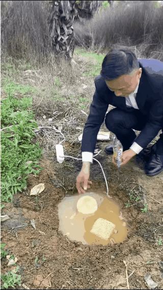 这才叫纯天然、无公害……[大笑]