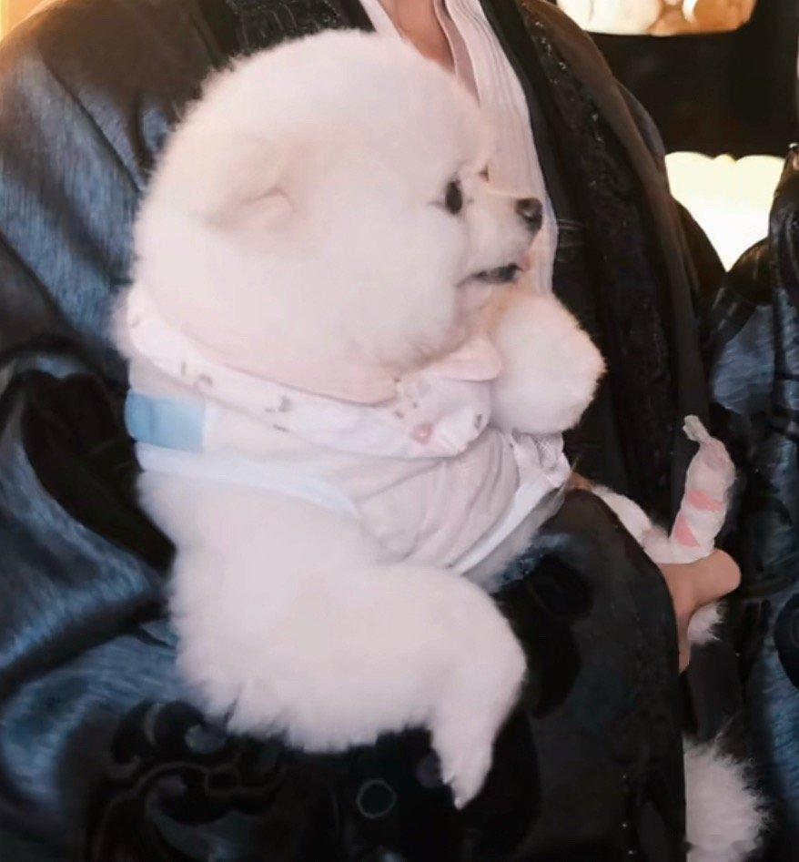 巧克力绝美侧脸 