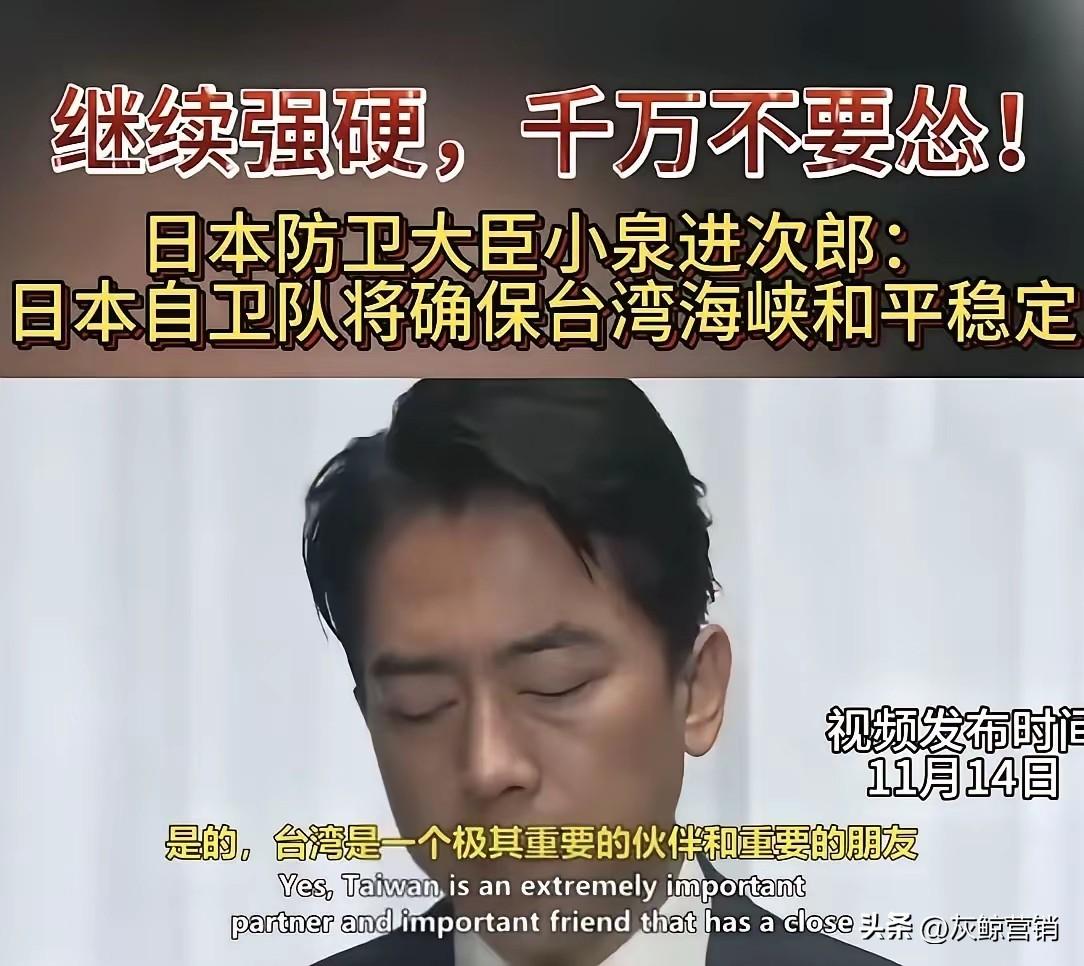 小泉进次郎和搞事早苗肮张头颅不知道再想什么。日本继续强硬，是想要什么？

中国无