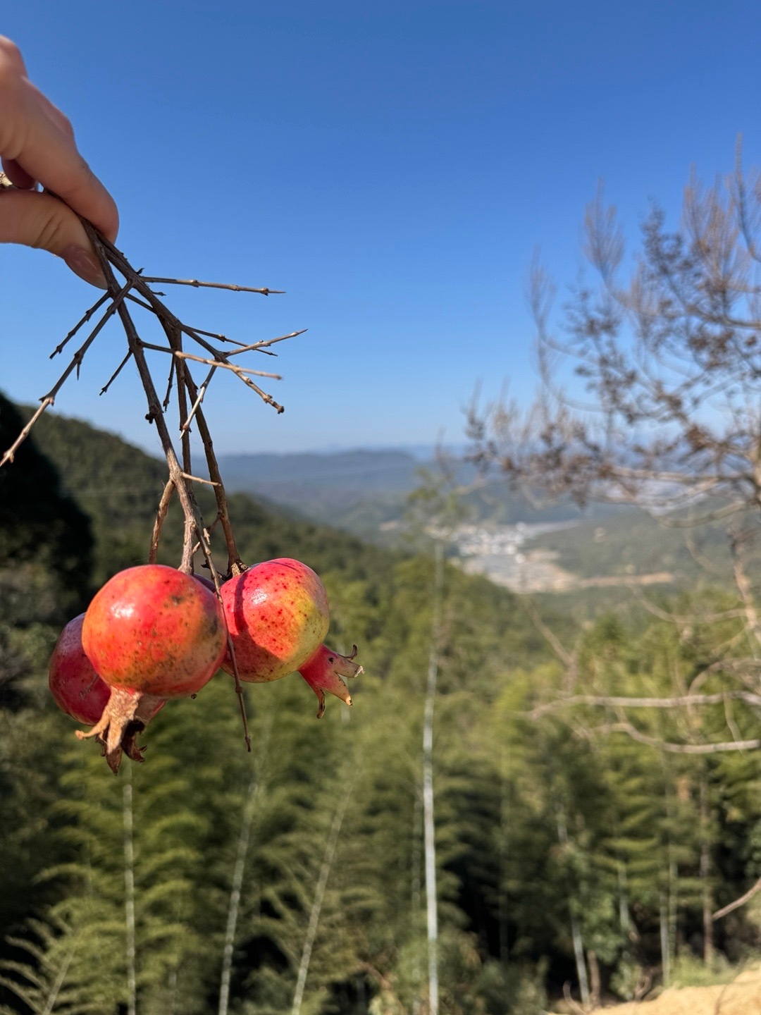 放假到现在在家呆的时间不超过48h 今天乖乖回家接个财神[好运连连] 