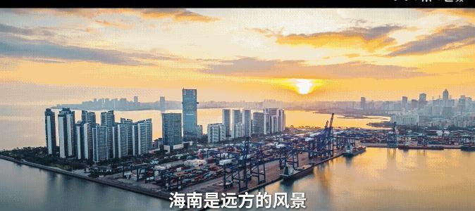 乒乓球亚洲杯将于2月4日在海南海口开打，林诗栋，作为第一个进入国家队的海南人，希