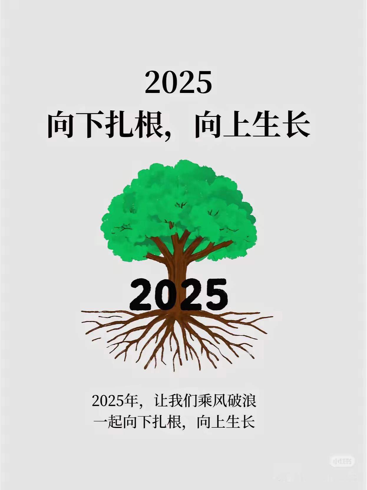 你好2025 2025向下扎根，向上生长 