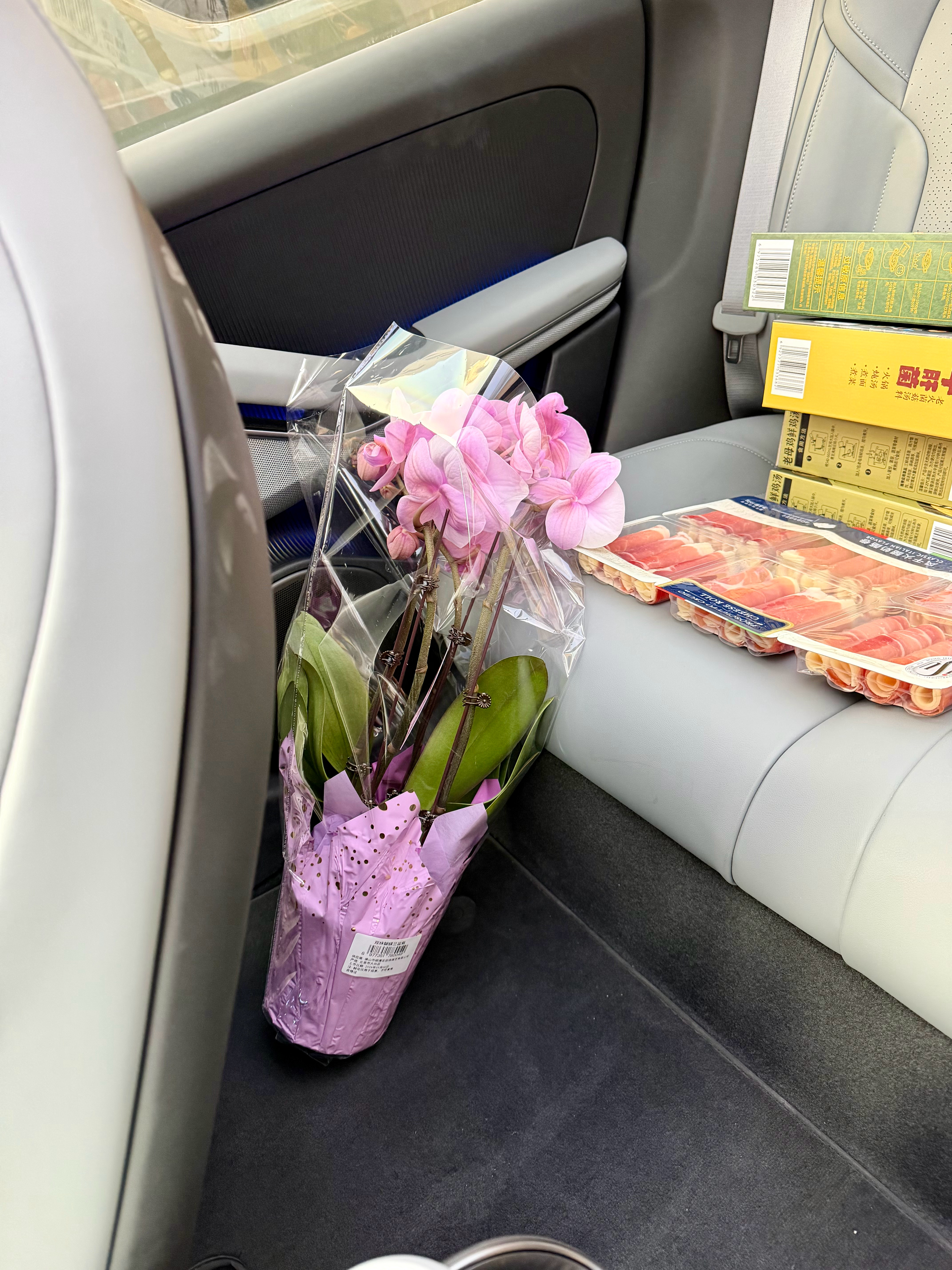 一早堵门奔袭山姆，给老婆大人买了盆节日蝴蝶兰、中午火锅汤料，还顺路换了电池。这效