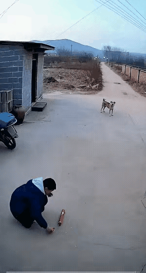 狗子:好家伙，怎么还会追踪呢