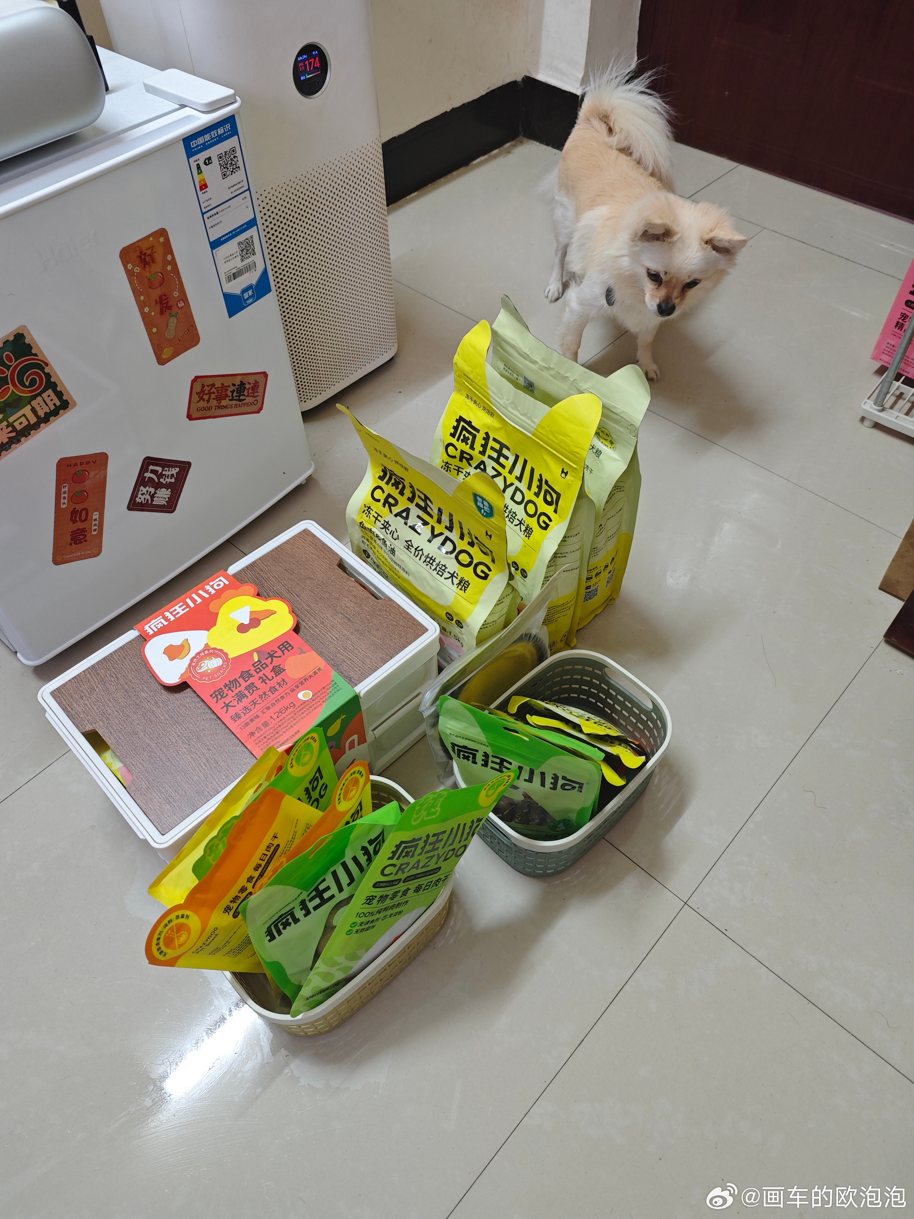 小狗验货中[耶] ​​​