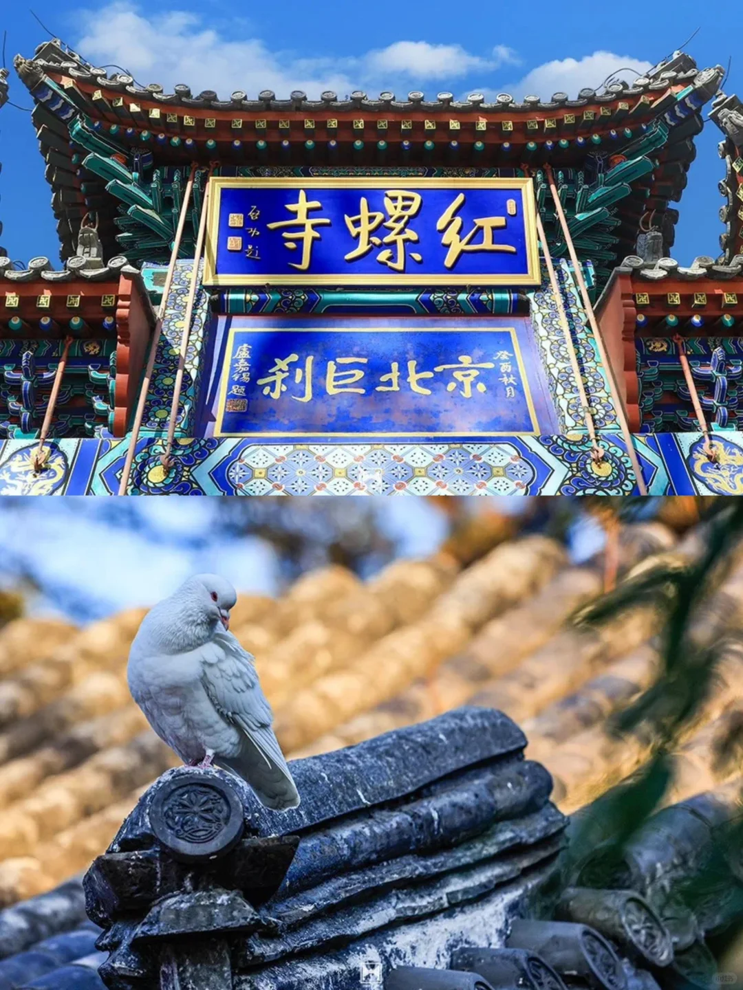 北京红螺寺🚙初冬的古刹，与浪漫不期而遇。