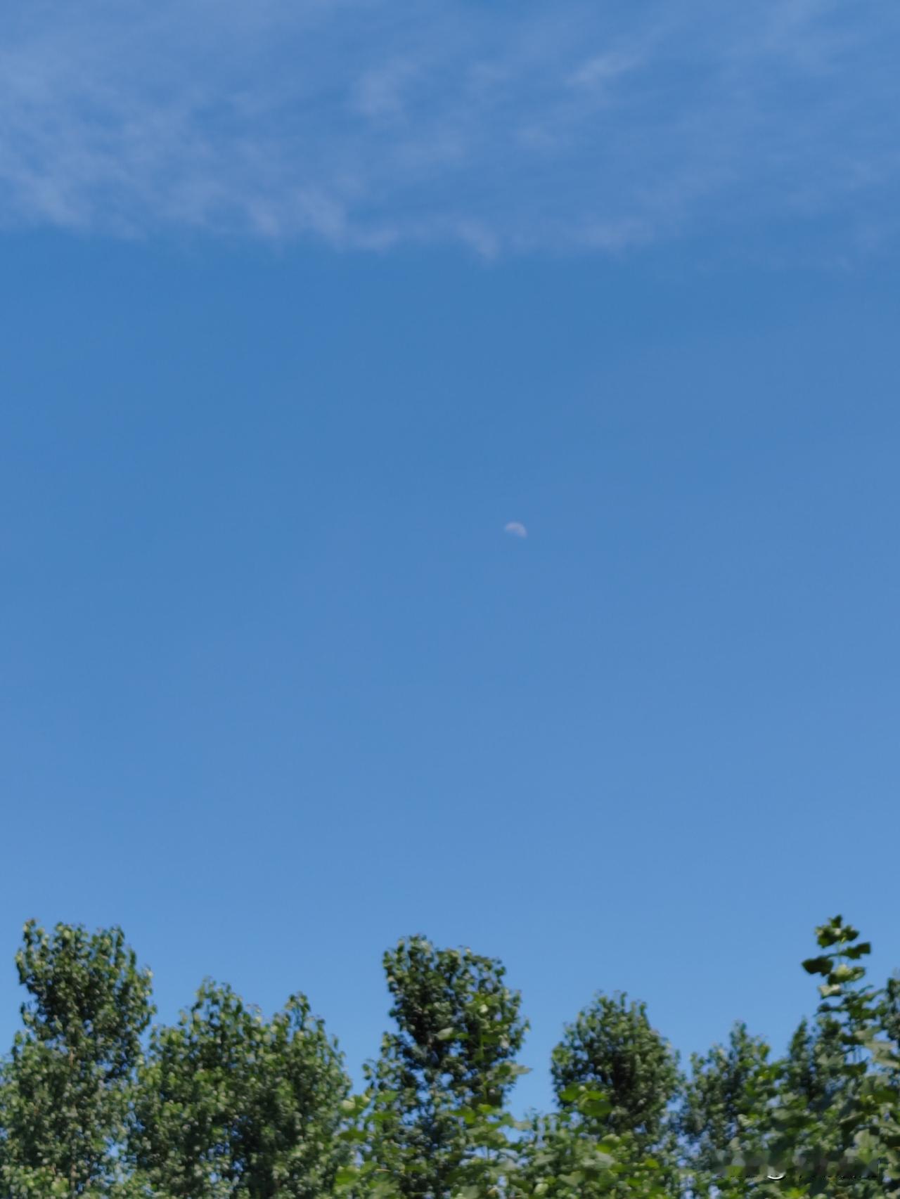 峨眉月
晴空浮素魄，翠树接清霄。
日在光犹淡，云稀影自遥。
不随星夜出，独向碧天
