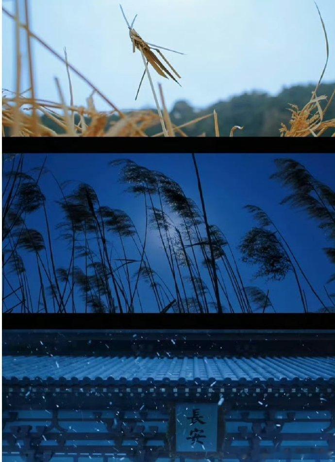 长安二十四计运镜好爽时空交错的拍摄手法让《长安二十四计》的剧情更有层次感，上👖