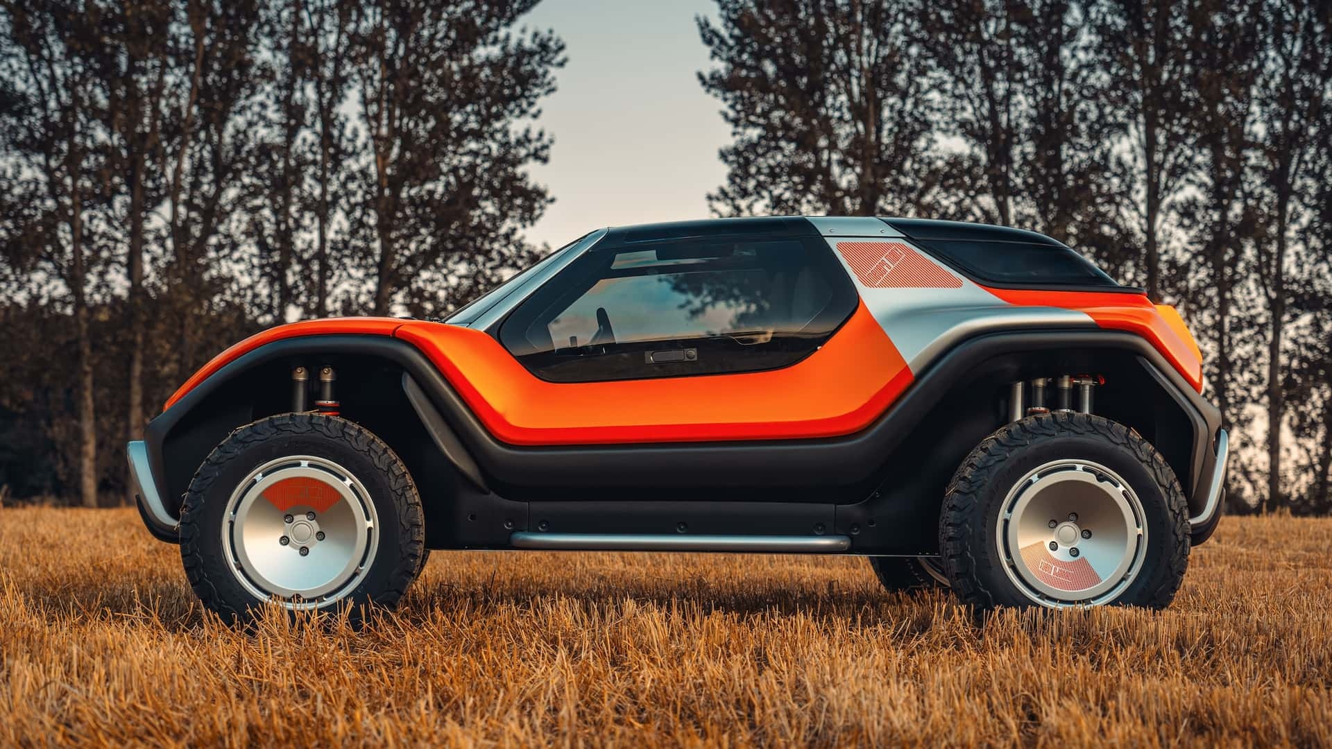 Meyers Manx Tuthill Porsche LFG ​​​