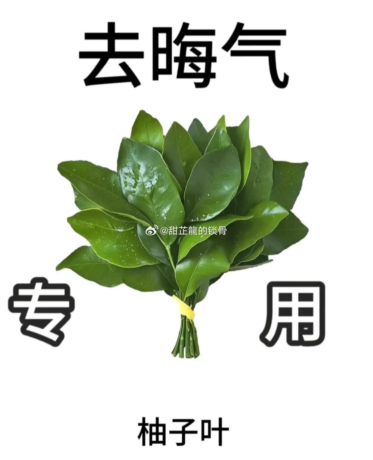 10月25日了给龙去去晦气，坏的永远远离龙 ​​​