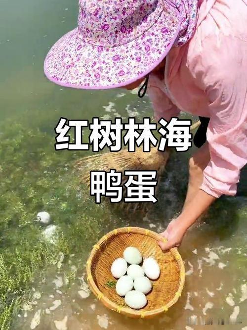 梦到捡鸭蛋，预测未来，梦境细节的吉凶辨析：
捡的‌鸭蛋完整‌：为‌大吉‌征兆，表