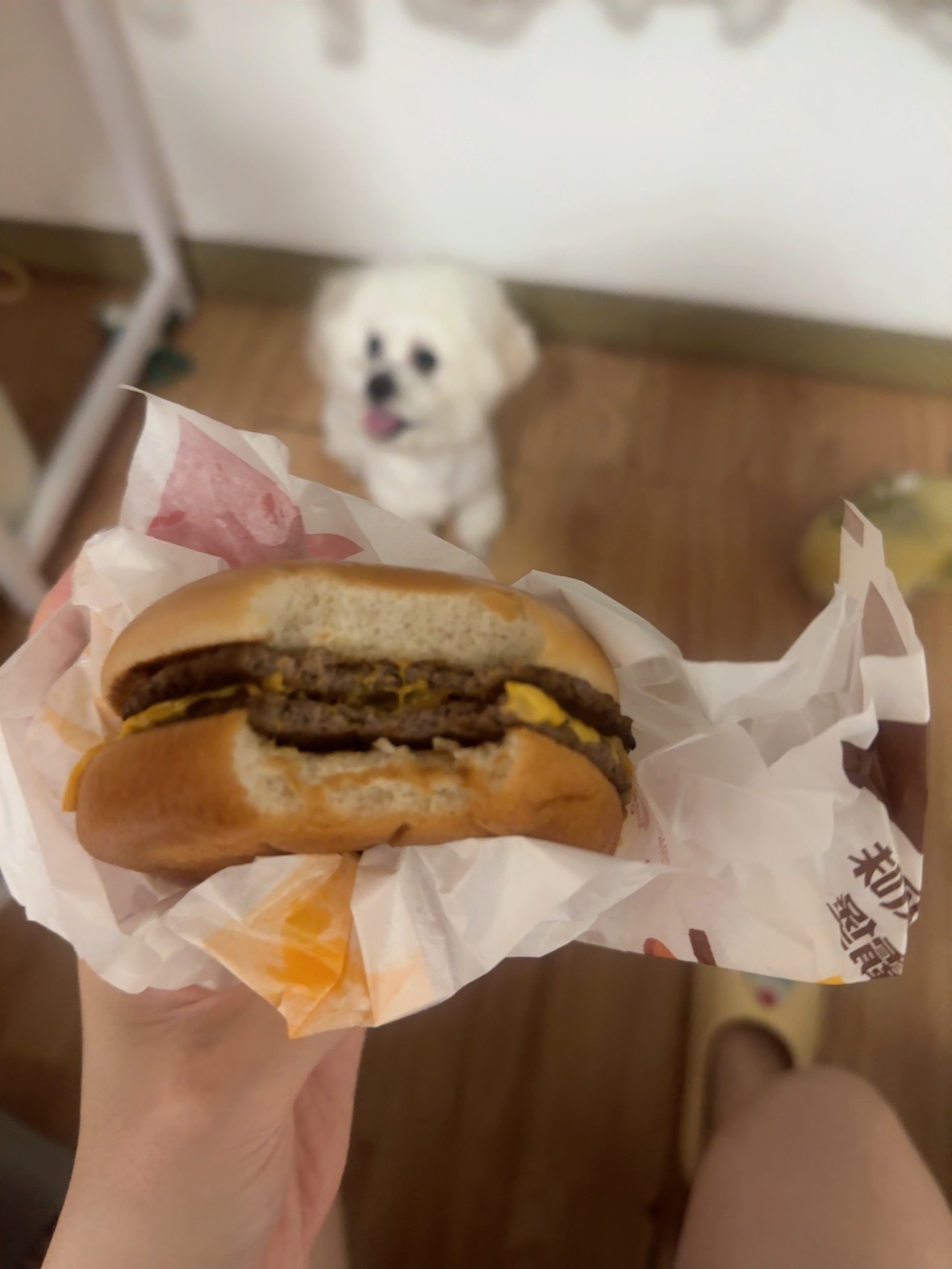 半夜美滋滋点一个麦当劳明天继续加班