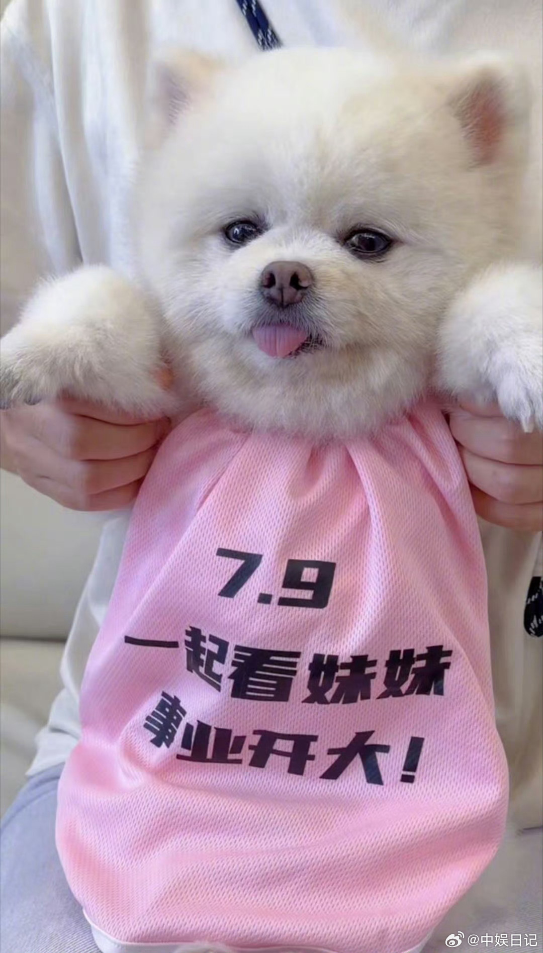 家人们，我发现了什么！曾舜晞抱的狗都在给孟子义剧宣？这操作也太秀了吧！🤯事情是